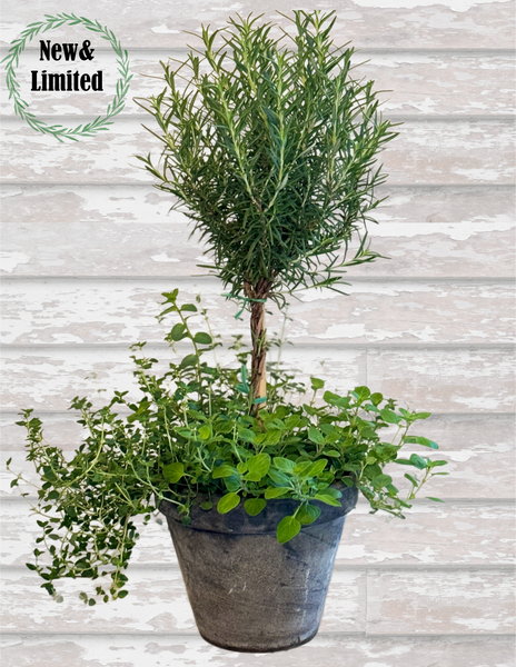 Herb Combo Pot - BELLAVINTAGEHOME