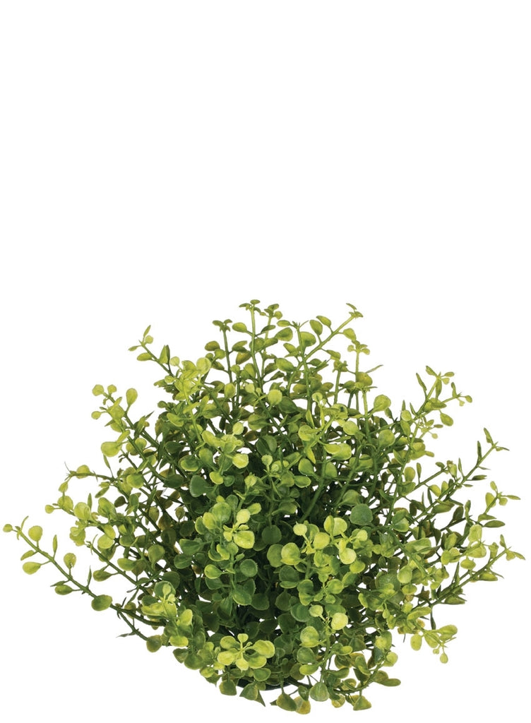 a Baby Grass Half Sphere - BELLAVINTAGEHOME