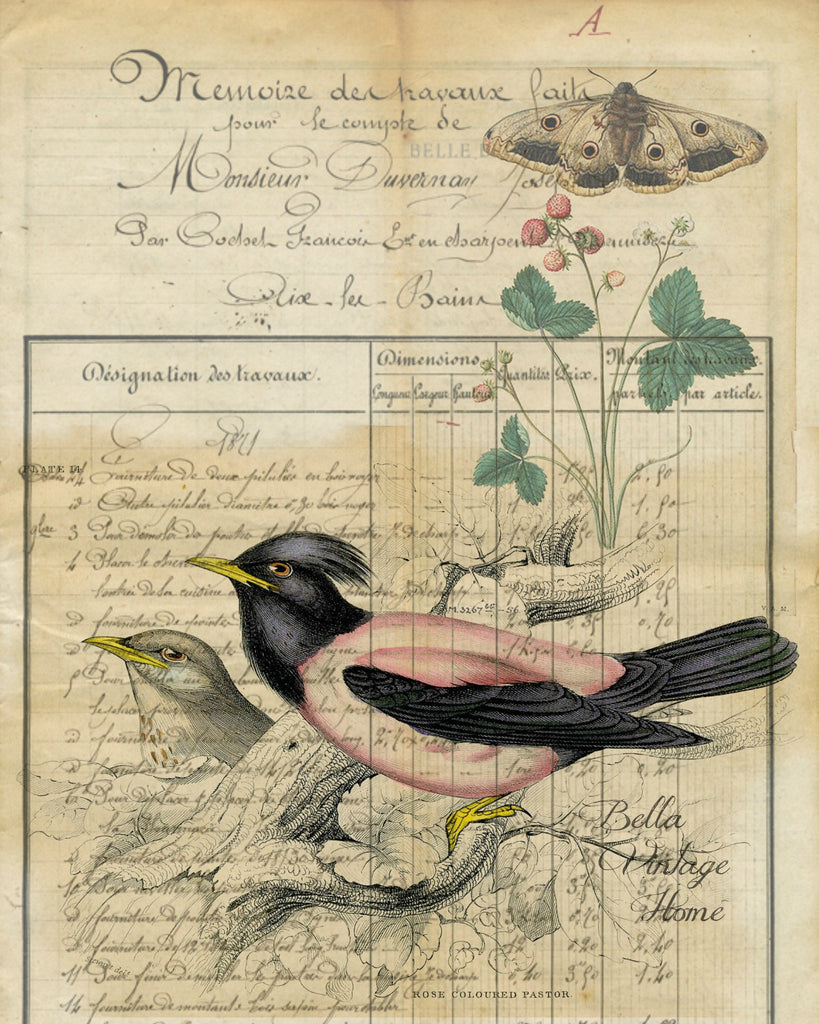 Botanical Pink Bird Print, Pillow, Note Cards, Tea Towel, Digital Download - BELLAVINTAGEHOME
