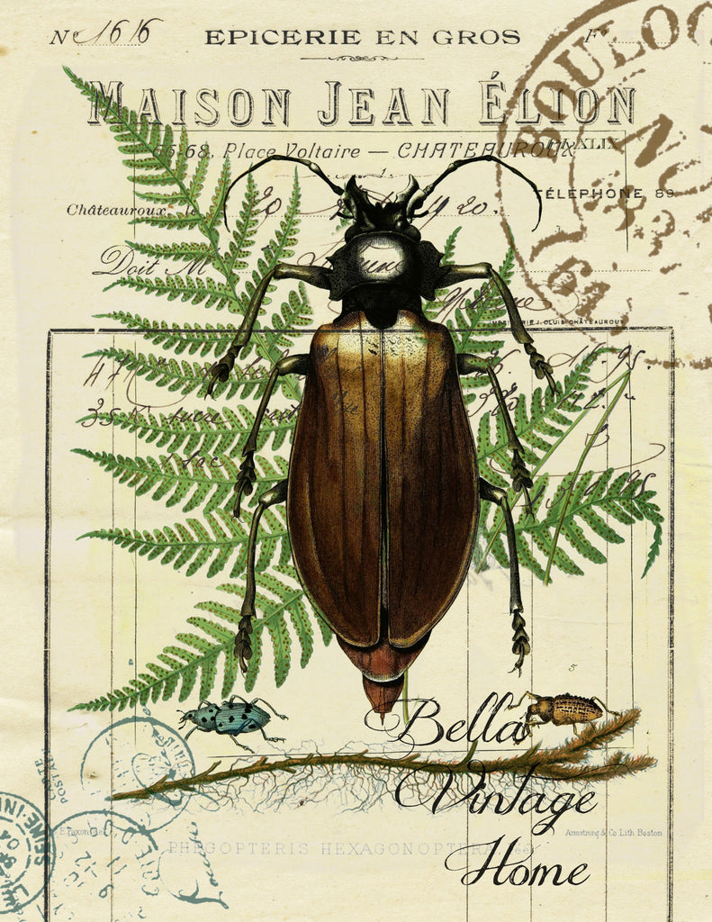 Insect Tea Towel Black Beetle - BELLAVINTAGEHOME