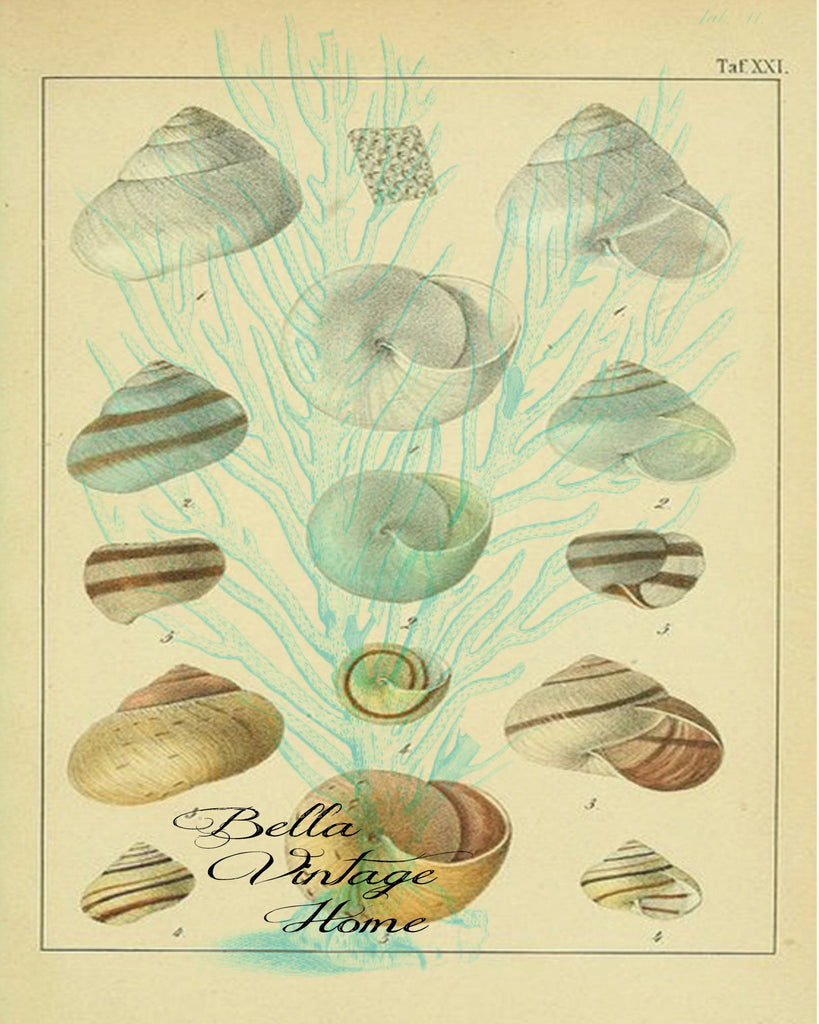 Blue Coral and Shell Print,  Pillow, Note Cards, Tea Towel, Digital Download - BELLAVINTAGEHOME