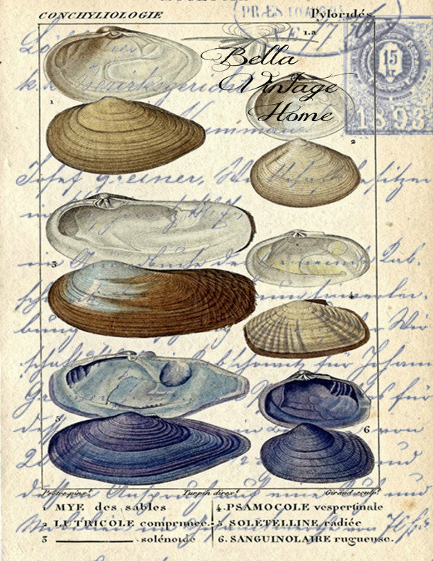 Blue Clam Shell Print, Pillow, Note Cards, Note Card, Tea Towel, Digital Download - BELLAVINTAGEHOME