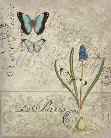 Botanical Hyancinth Print, Pillow, Note Cards, Tea Towel, Digital Download - BELLAVINTAGEHOME