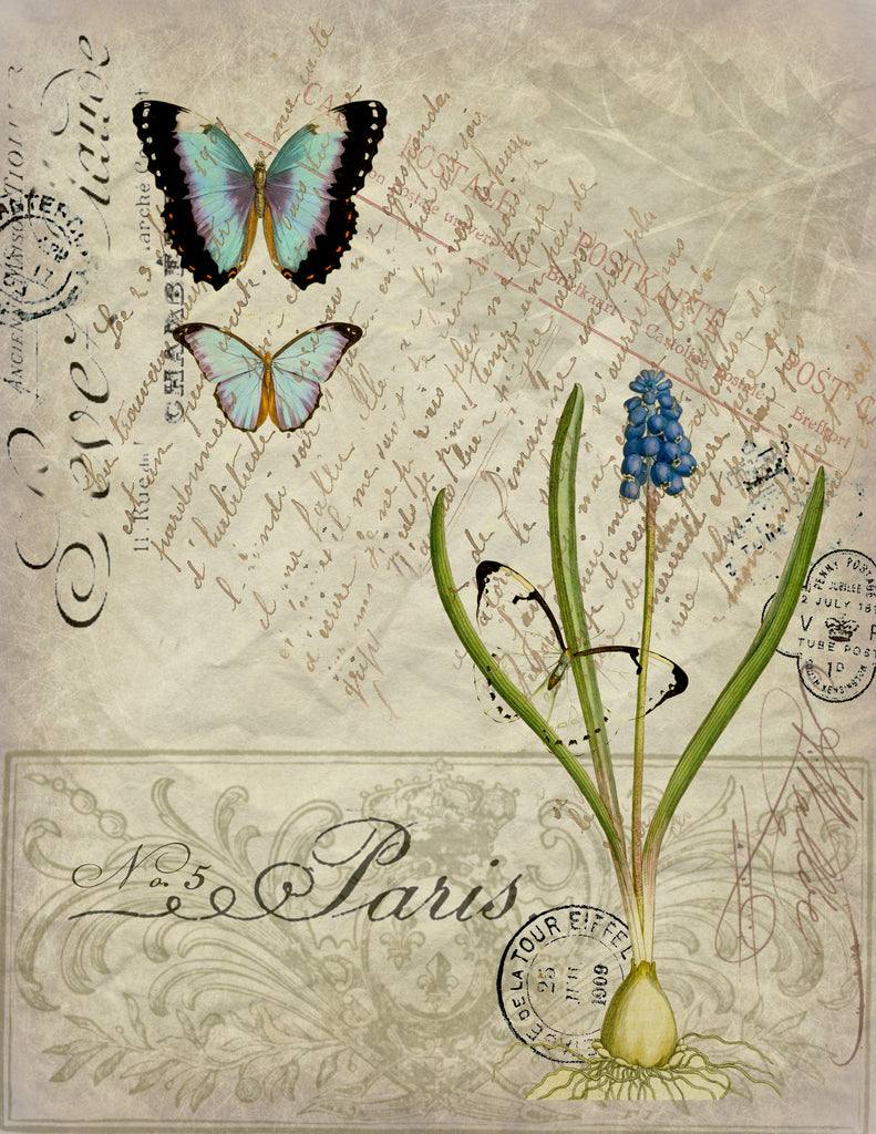 Insect Tea Towel Blue Butterflies and Hyacinth - BELLAVINTAGEHOME