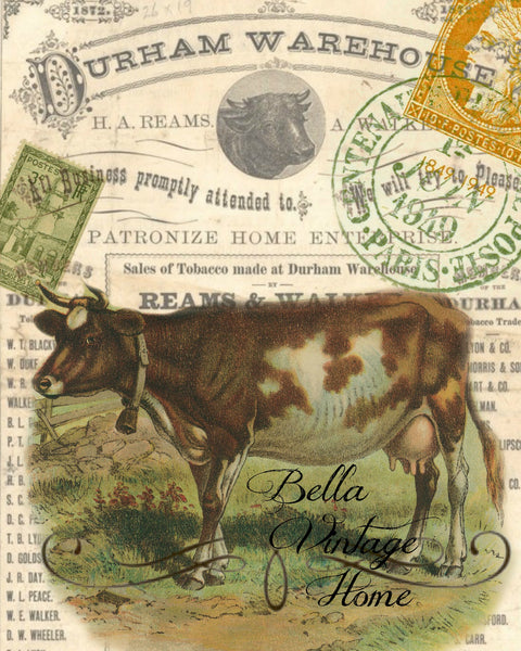 Animal  Tea  Towel  Brown Cow - BELLAVINTAGEHOME