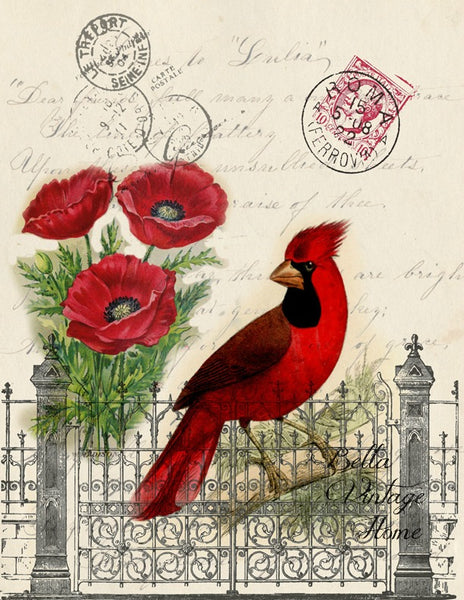 Bird Tea Towel Cardinal - BELLAVINTAGEHOME