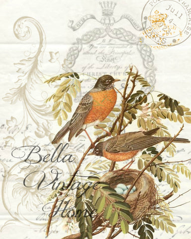 Botanical Double Robin Print, Pillow, Note Cards, Tea Towel, Digital Download - BELLAVINTAGEHOME