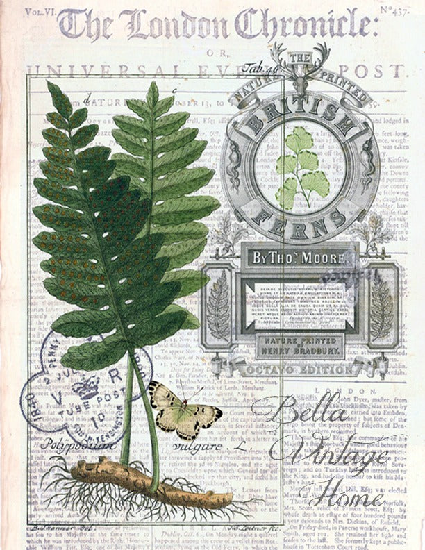 Floral Tea Towel Fern I - BELLAVINTAGEHOME