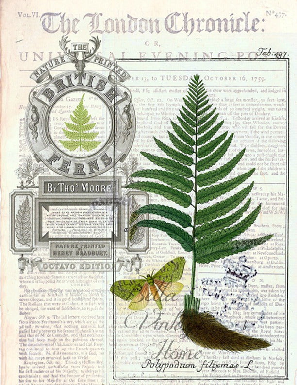 Floral Tea Towel Fern II - BELLAVINTAGEHOME