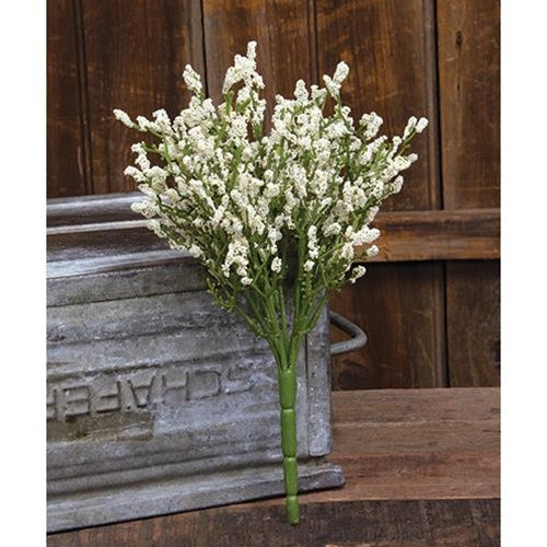 a Astilbe Cream Bush 20"    NEW!! - BELLAVINTAGEHOME