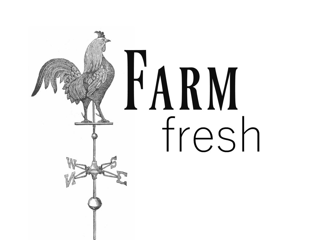 Farm Fresh Print, Pillow, Note Cards< Tea Towel, Digital Download - BELLAVINTAGEHOME