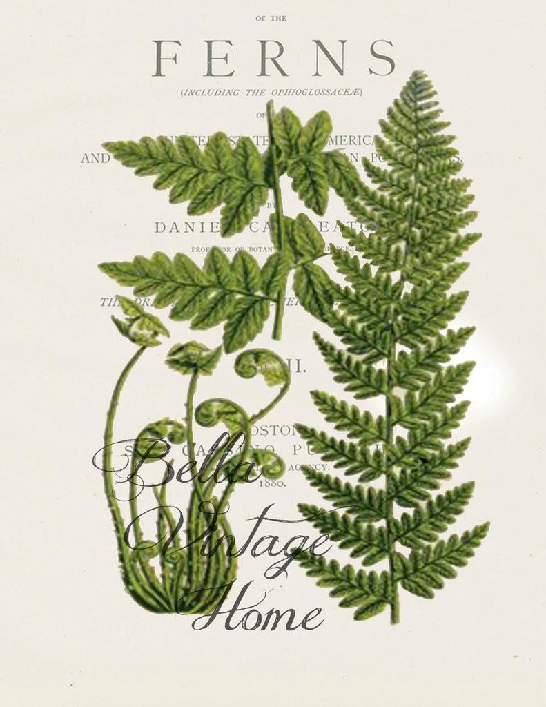 Floral Tea Towel Botanical Fern IV - BELLAVINTAGEHOME