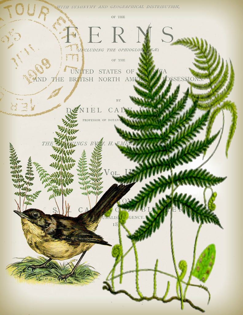 Bird & Fern Tea Towel - BELLAVINTAGEHOME