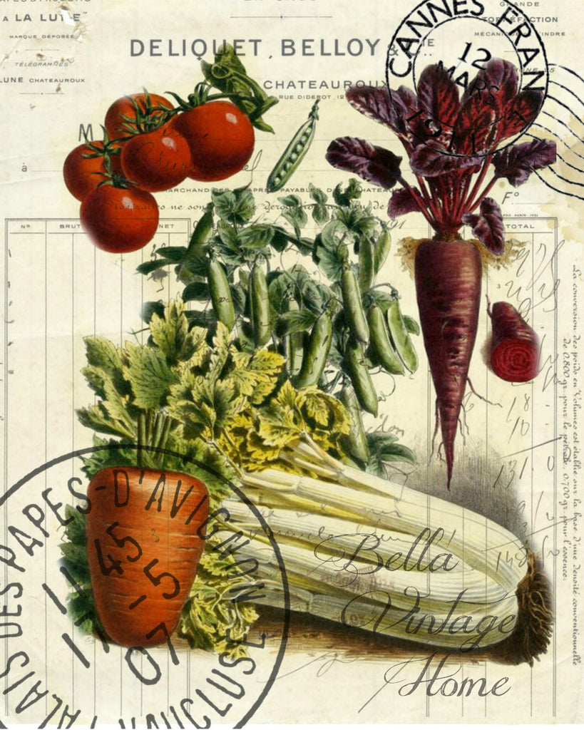 Botanical French Veggie Celery Print, Pillow, Note Cards, Tea Towel, Digital Download - BELLAVINTAGEHOME
