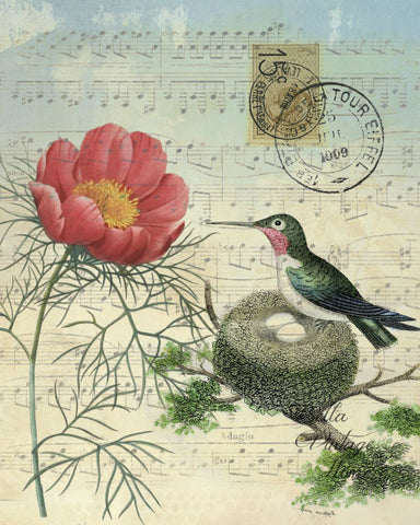Botanical Hummingbird with Nest Print, Pillow, Note Cards, Tea Towel, Digital Download - BELLAVINTAGEHOME