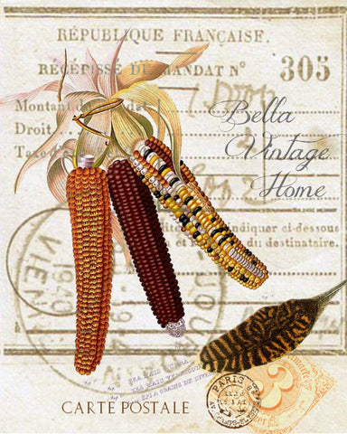 Harvest Indian Corn  Botanical Print,  Pillow, Note Cards, Tea Towel, Digital Download - BELLAVINTAGEHOME