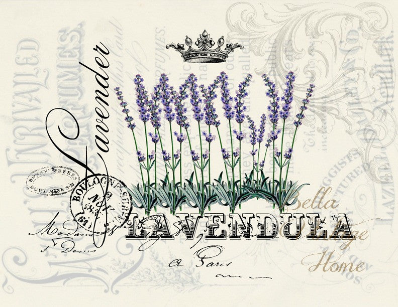 French Lavender Print, Pillow, Note Cards, Tea Towel, Digital Download - BELLAVINTAGEHOME