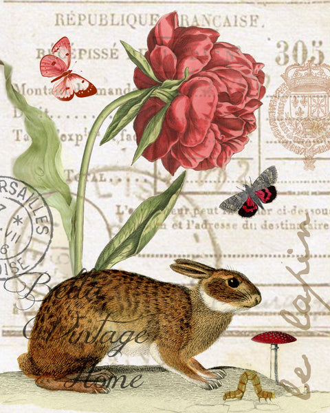 Le Lapin Rabbit Print,  Pillow, Note Cards, Tea Towel, Digital Download - BELLAVINTAGEHOME
