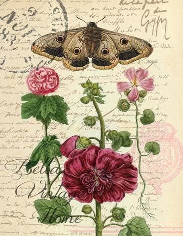 Moth and Flower  Print, Pillow, Note Cards, Tea Towel, Digital Download - BELLAVINTAGEHOME