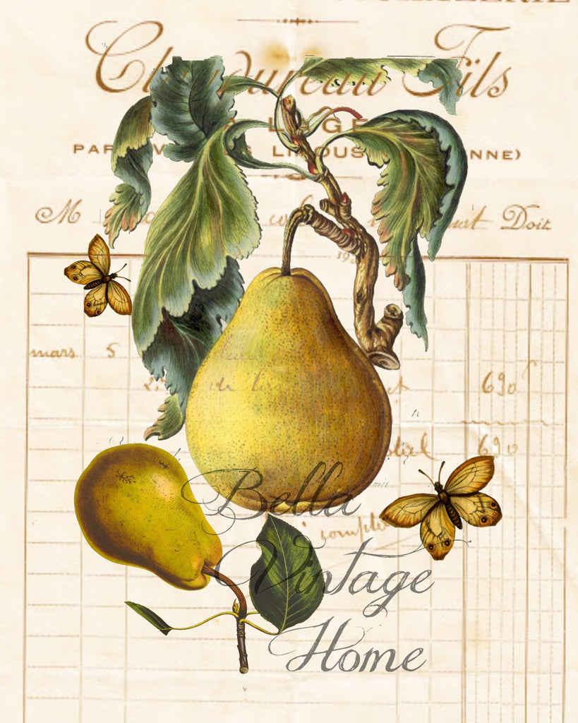 Botanical Pear Print, Pillow, Note Cards, Tea Towel, Digital Download - BELLAVINTAGEHOME