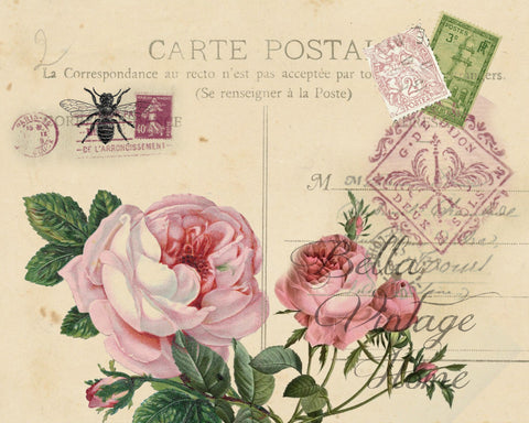 Botanical Pink Roses Carte Postale Print, Pillow, Note Cards, Tea Towel, Digital Download - BELLAVINTAGEHOME
