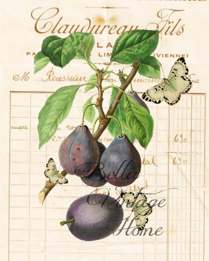 Botanical  Plum Print,  Pillow, Note Cards, Tea Towel, Digital Download - BELLAVINTAGEHOME