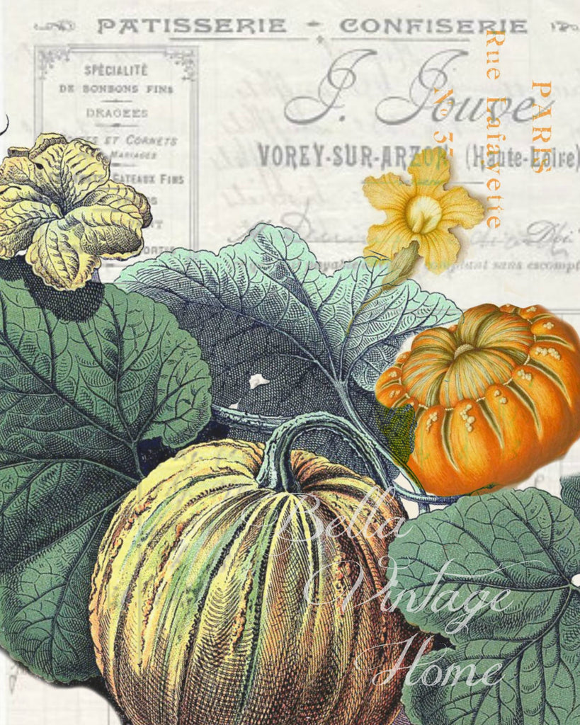 Harvest Pumpkin and Gourd Botanical Print, Pillow, Note Cards, Tea Towel, Digital Download - BELLAVINTAGEHOME