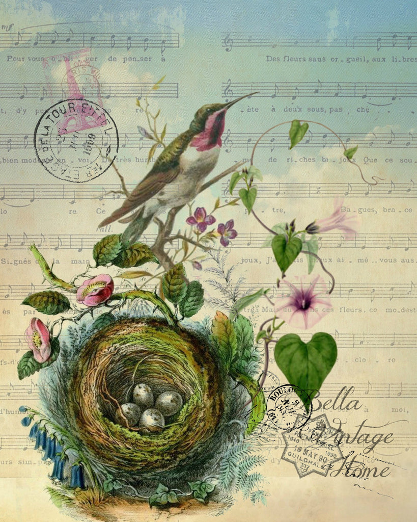 Botanical Purple Hummingbird with Nest Print, Pillow, Note Cards, Tea Towel, Digital Download - BELLAVINTAGEHOME