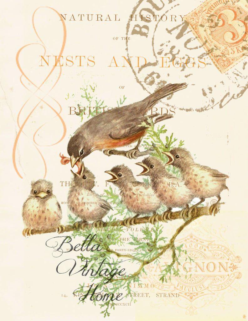 Robin and Babies Print, Pillow, Note Cards, Tea Towel, Digital Download - BELLAVINTAGEHOME
