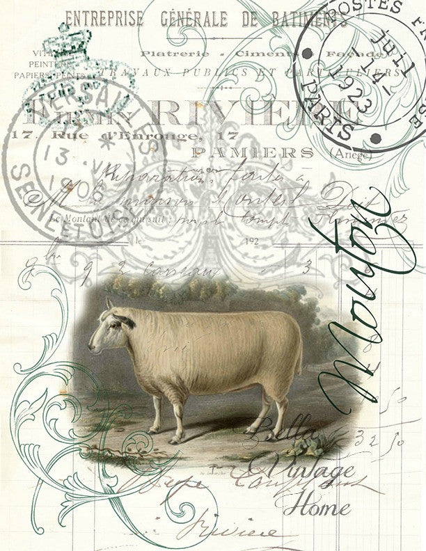 Farm Animal Sheep Botanical Print, Pillow, Note Cards, Tea Towel, Digital Download - BELLAVINTAGEHOME
