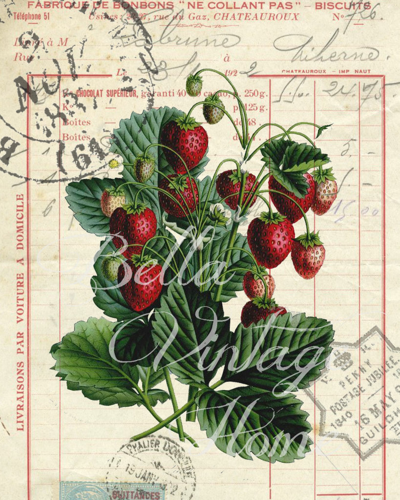 Botanical Strawberry Print, Pillow, Note Cards, Tea Towel, Digital Download - BELLAVINTAGEHOME