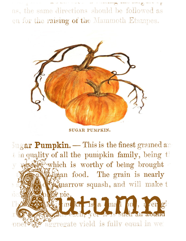 Fall Tea Towel Autumn - BELLAVINTAGEHOME