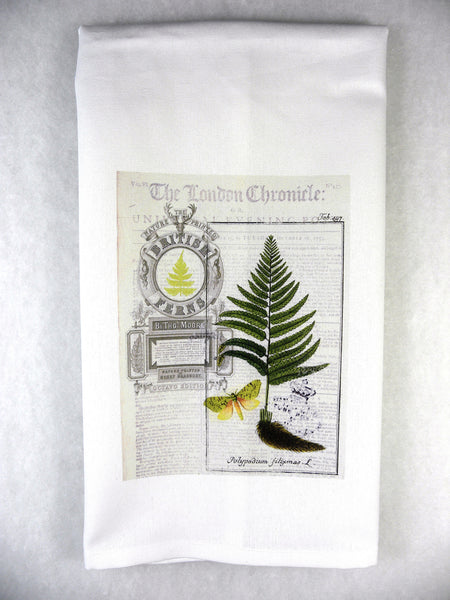 Botanical  Fern 2 Print, Pillow, Note Cards, Tea Towel, Digitial Download - BELLAVINTAGEHOME