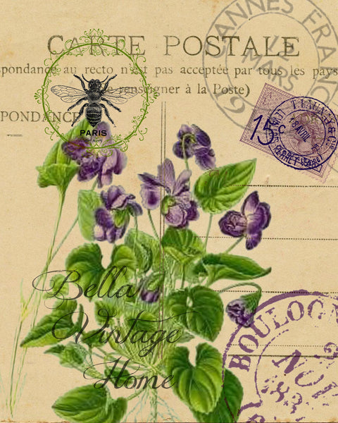 Botanical Violet Carte Postale Print,  Pillow, Note Cards, Tea Towel, Digital Download - BELLAVINTAGEHOME