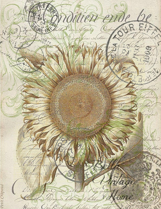 Sunflower Botanical Print,  Pillow, Note Cards, Tea Towel, Digital Download - BELLAVINTAGEHOME
