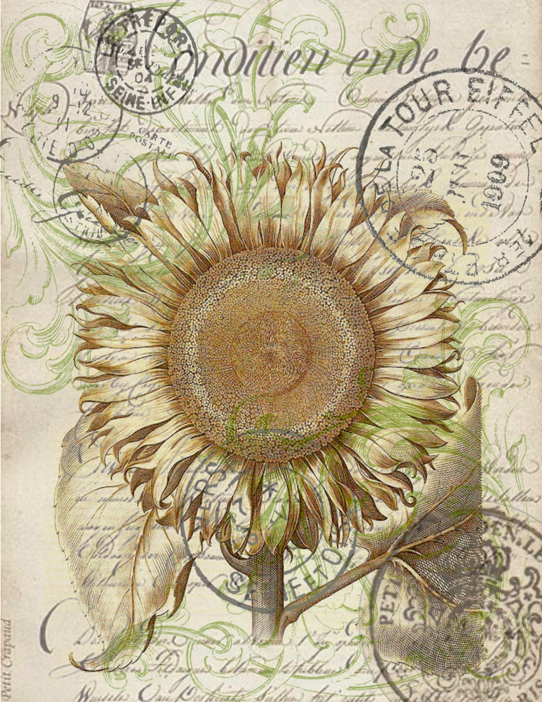 Floral Tea Towel White Sunflower - BELLAVINTAGEHOME