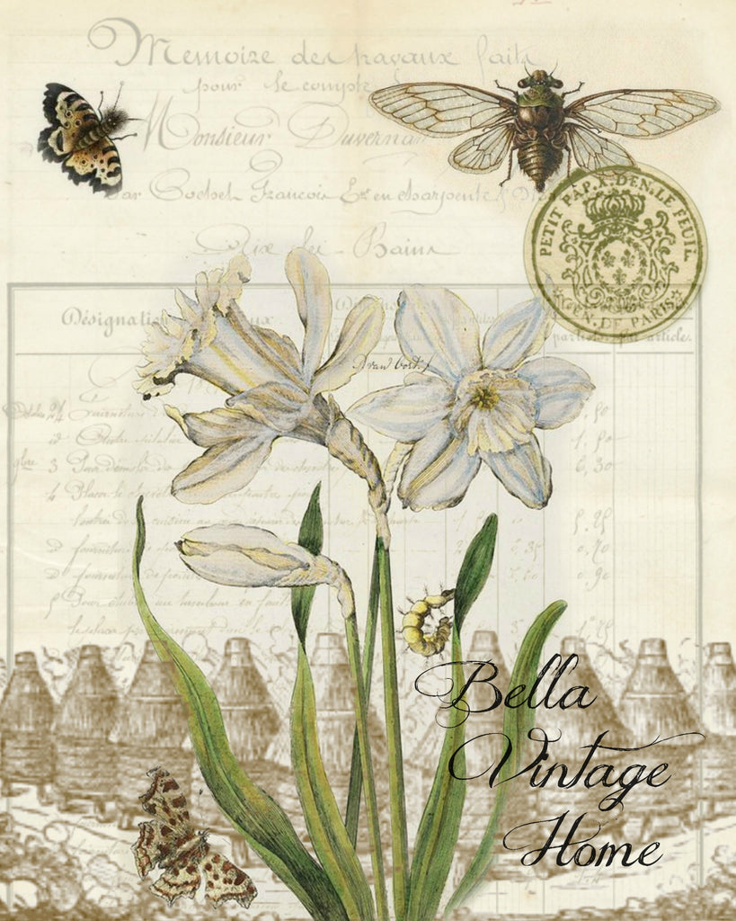 Floral Tea Towel White Daffodil - BELLAVINTAGEHOME