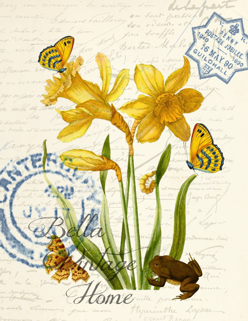 Botanical Yellow Daffodil and Butterflies Print, Pillow, Note Cards, Tea Towel, Digital Download - BELLAVINTAGEHOME
