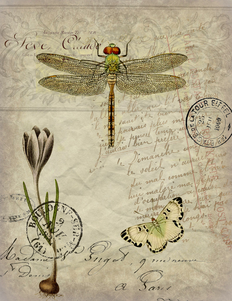Insect Tea Towel Dragonfly - BELLAVINTAGEHOME