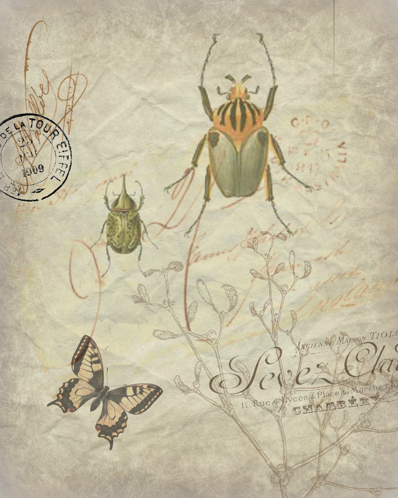 Botanical Beetle Print, Pillow, Note Cards, Tea Towel, Digital Download - BELLAVINTAGEHOME