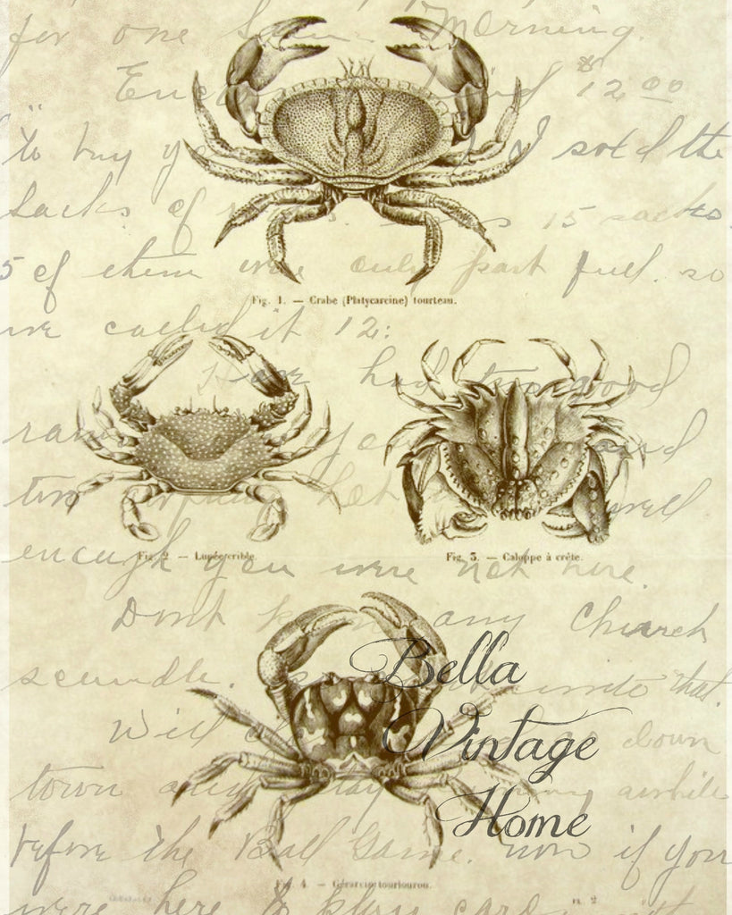Brown Crab Print, Pillow, Note Cards, Tea Towel, Digital Download - BELLAVINTAGEHOME
