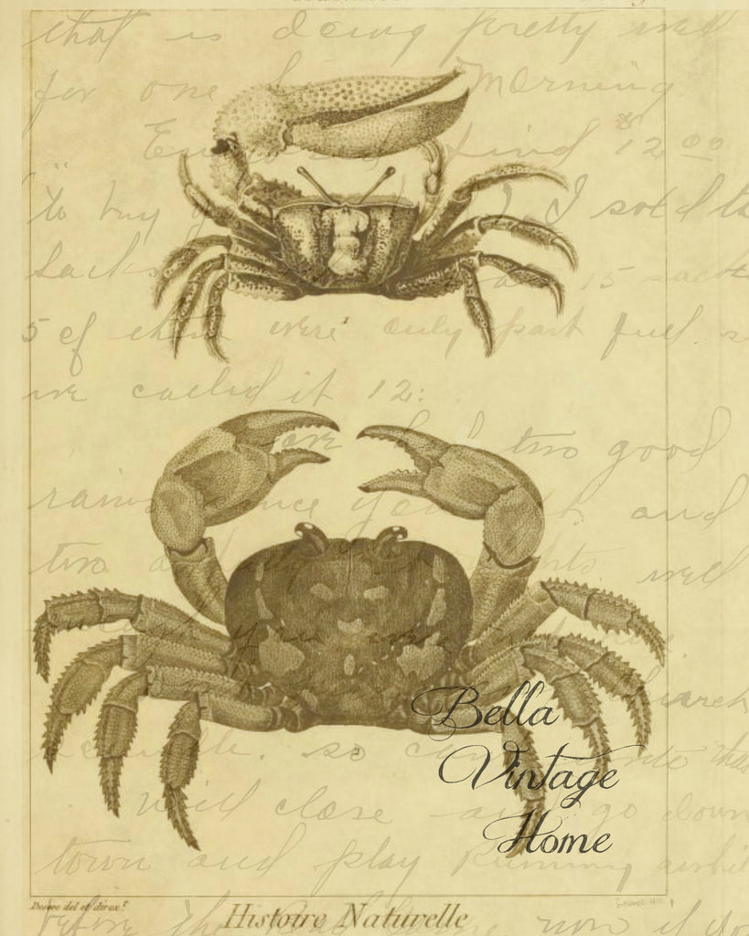 Crabs 2 Print,  Pillow, Note Cards, Tea Towel, Digital Download - BELLAVINTAGEHOME