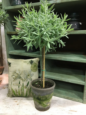 Goodwin Creek Lavender Topiary 18" - BELLAVINTAGEHOME