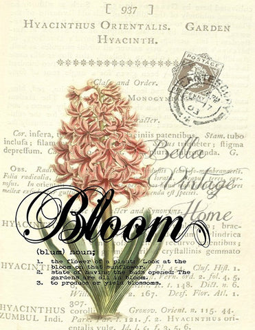 Botanical Bloom Hyacinth Print, Pillow, Note Cards, Tea Towel - BELLAVINTAGEHOME