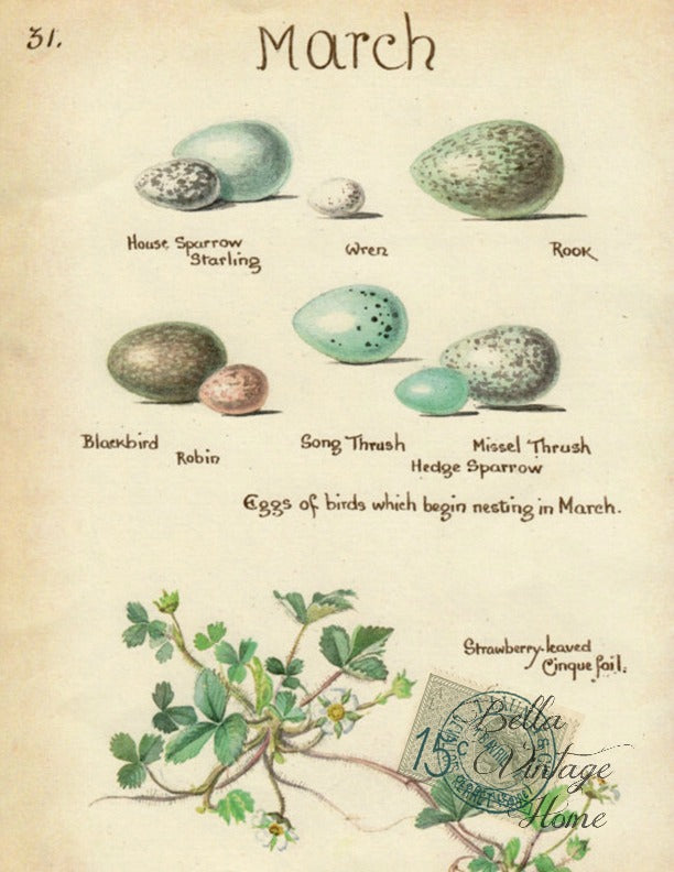 Tea Towel Botanical March Eggs - BELLAVINTAGEHOME