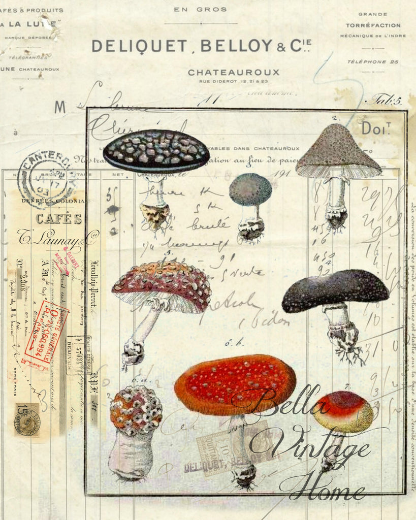Botanical Mushrooms II Print, Pillow, Note Cards, Tea Towel, Digital Download - BELLAVINTAGEHOME
