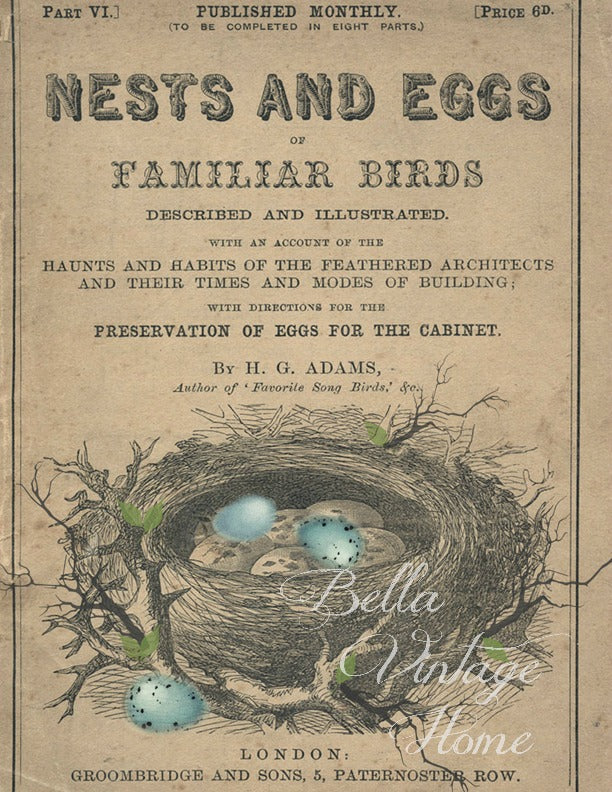 Tea Towel Brown Nest & Blue Eggs Journal - BELLAVINTAGEHOME