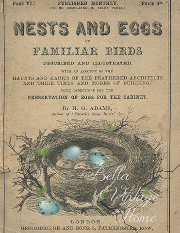 Botanical Blue Egg and Nest Print, Pillow,Note Cards, Tea Towel, Digital Download - BELLAVINTAGEHOME