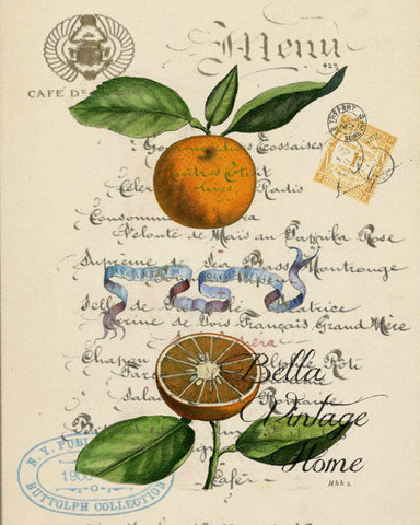 Botanical Orange Print, Pillow, Note Cards, Tea Towel, Digital Download - BELLAVINTAGEHOME