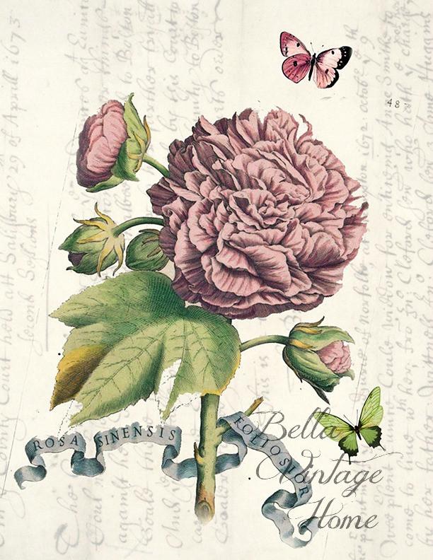 Botanical Pink Butterfly Print, Pillow, Note Cards, Tea Towel, Digital Download - BELLAVINTAGEHOME